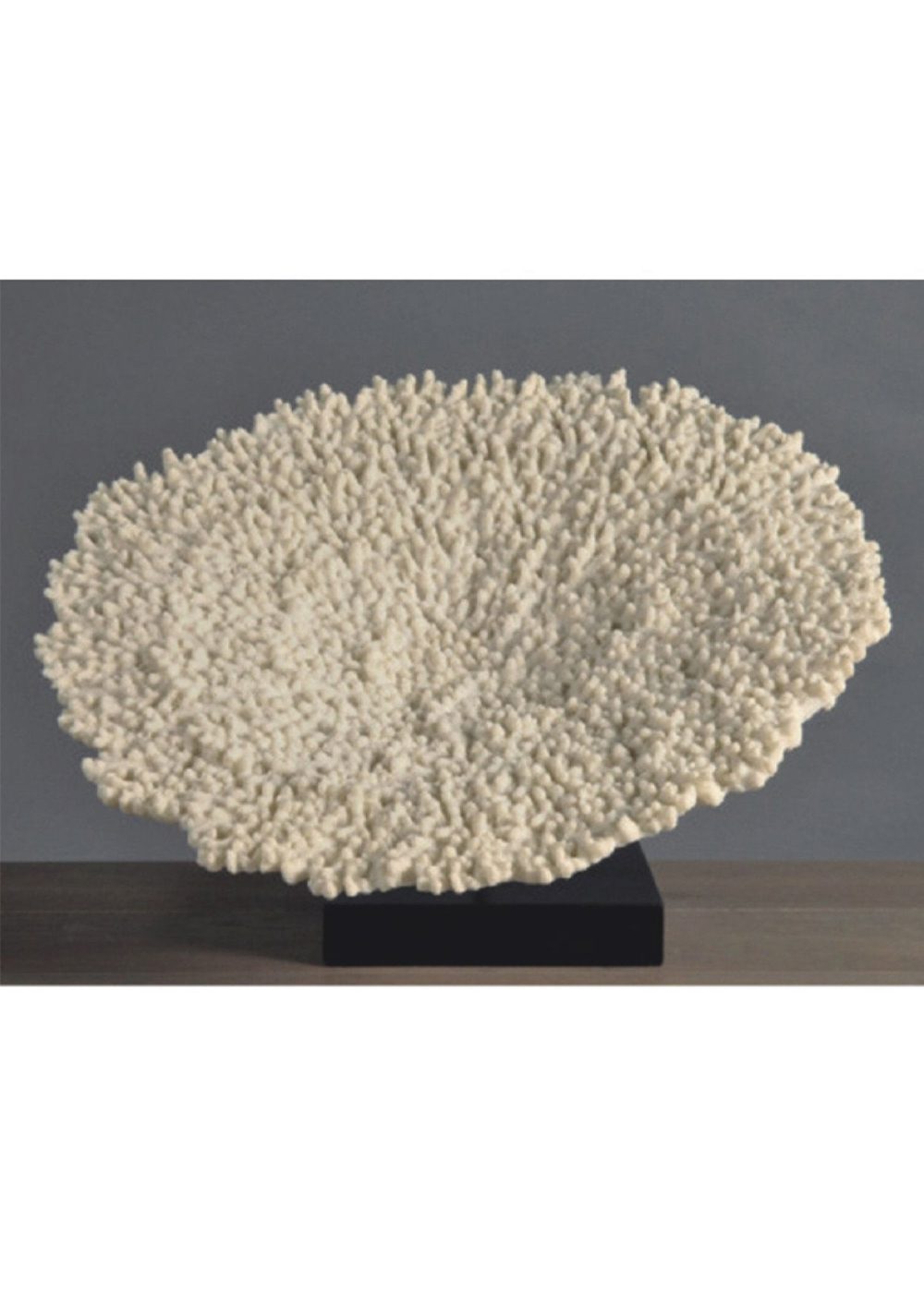 Sunrise Coral